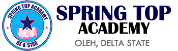 Spring Top Academy